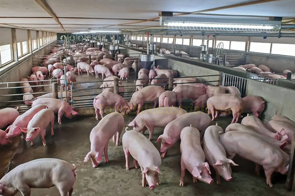  有機肥生產(chǎn)線技術方案，農(nóng)村有機肥廠的投資和利潤分析